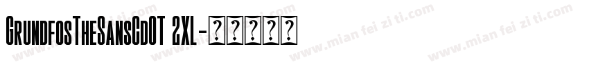 GrundfosTheSansCdOT 2XL字体转换